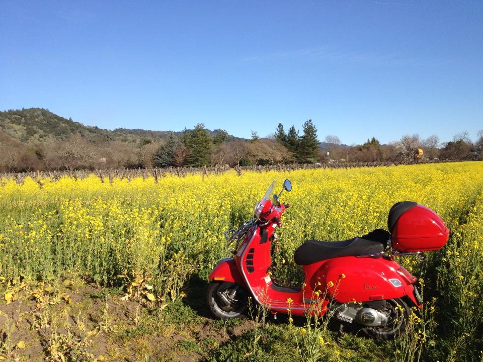 Scooting by Erin